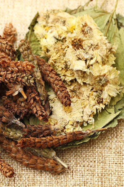 Dried herbal medicine — Stock Photo, Image