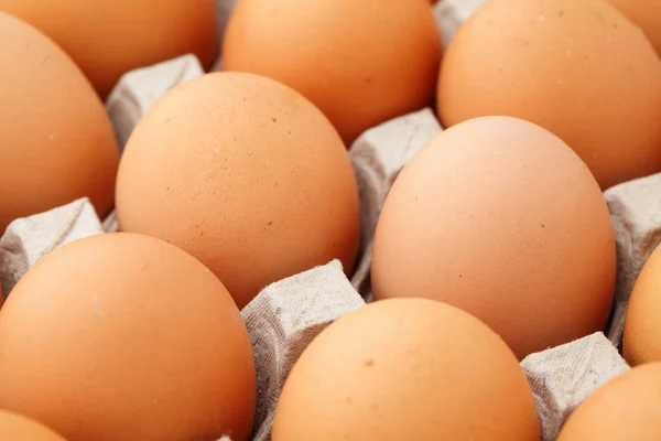 Фермерское яйцо близко. — стоковое фото