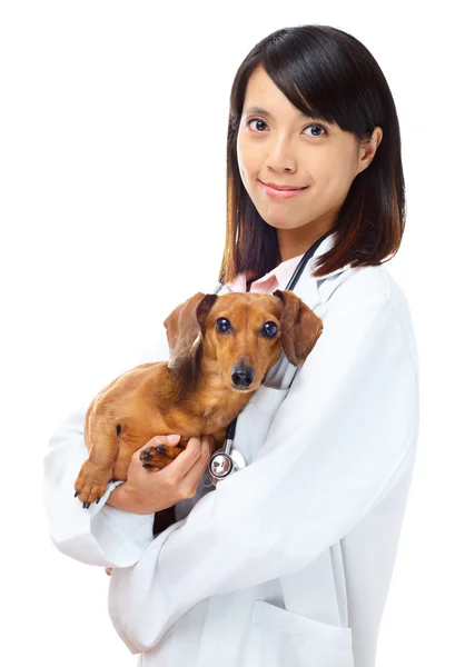 Veterinär med Tax hund — Stockfoto