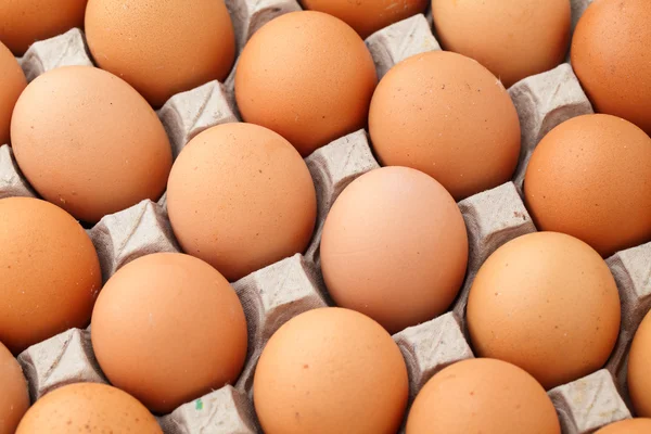Tas d'œufs de ferme — Photo