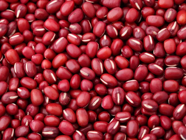 Červené fazole Adzuki fazole — Stock fotografie