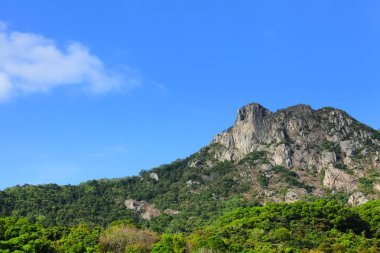 Dağ aslanı rock