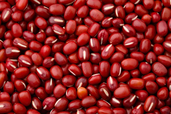 Fazole Adzuki fazole červené pozadí — Stock fotografie