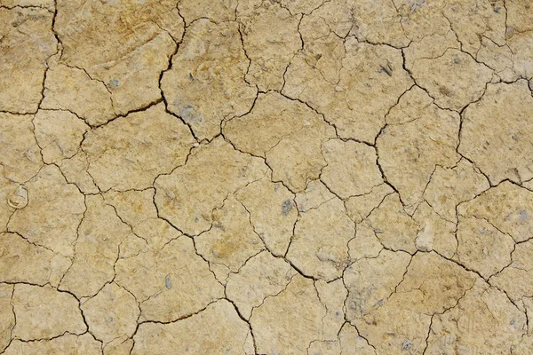 Tierras grietas secas — Foto de Stock