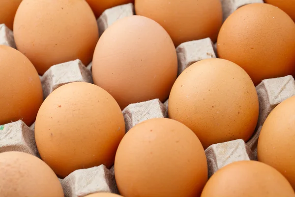 Cumulo di uovo fattoria da vicino — Foto Stock