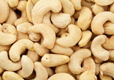 taze kaju fıstığı