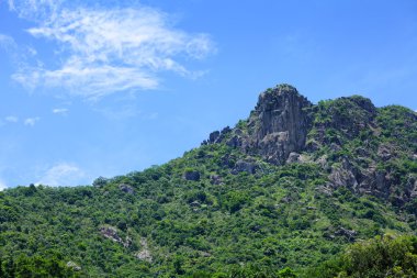 Dağ aslanı rock