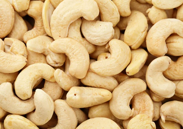 Frische Cashewnüsse — Stockfoto