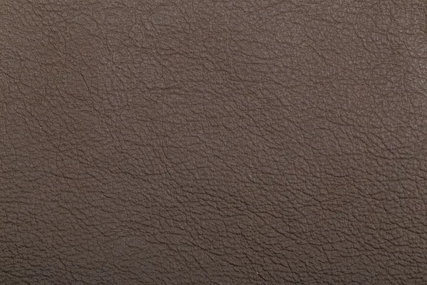 Textura de cuero granulado — Foto de Stock