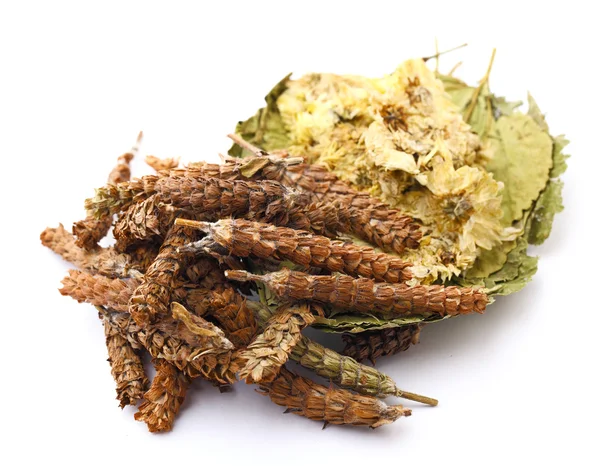 Chinese herbal medicine ingredient — Stock Photo, Image
