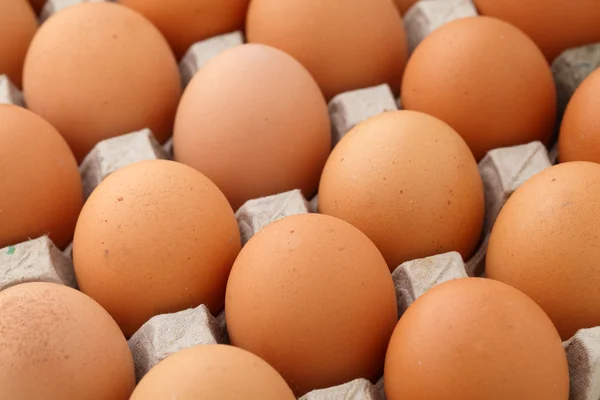 ไข่ฟาร์ม — ภาพถ่ายสต็อก