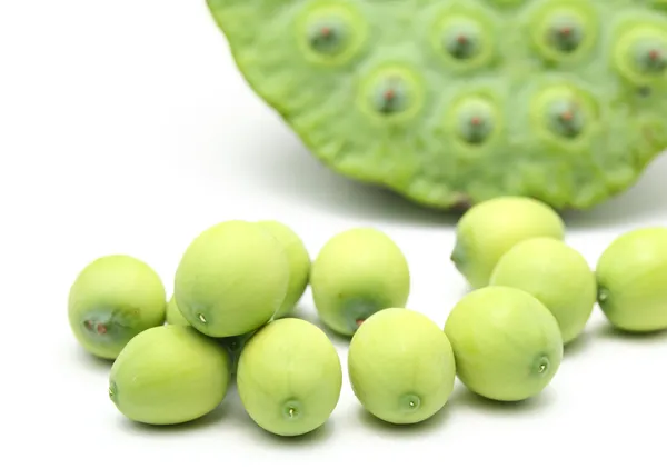 Fresh lotus seeds and pod — Stock Photo, Image