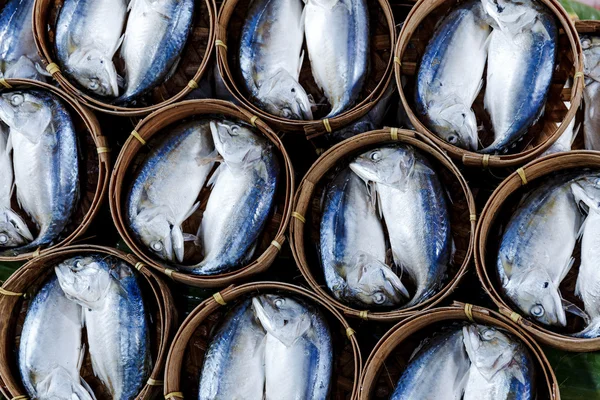 Pescado en barriles para la venta en el mercado en Bangkok —  Fotos de Stock