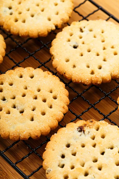 Zelfgemaakte rozijnen cookies — Stockfoto