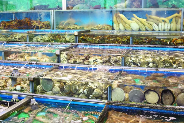 Fischbecken auf dem Markt in Hongkong — Stockfoto