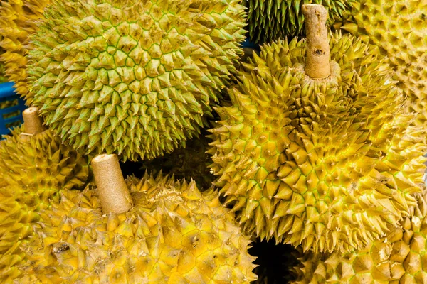 Grupo de durianos — Fotografia de Stock