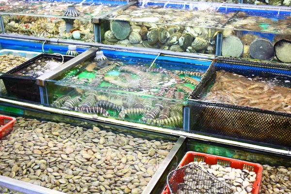 Tanque de peixe do mercado de frutos do mar em Hong Kong — Fotografia de Stock