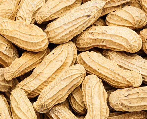 Peanut close up — Stock Photo, Image
