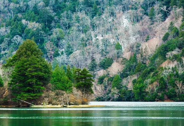 Lake in forest — Stock Photo, Image