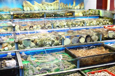 Seafood market akvaryum hong Kong
