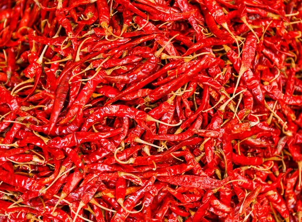 Szárított chili paprika — Stock Fotó