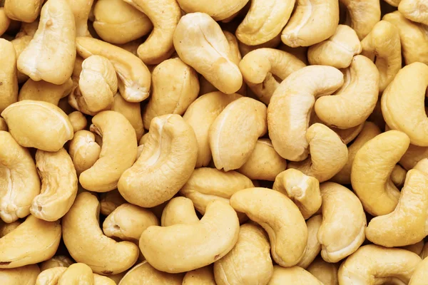 Frische Cashewnüsse — Stockfoto