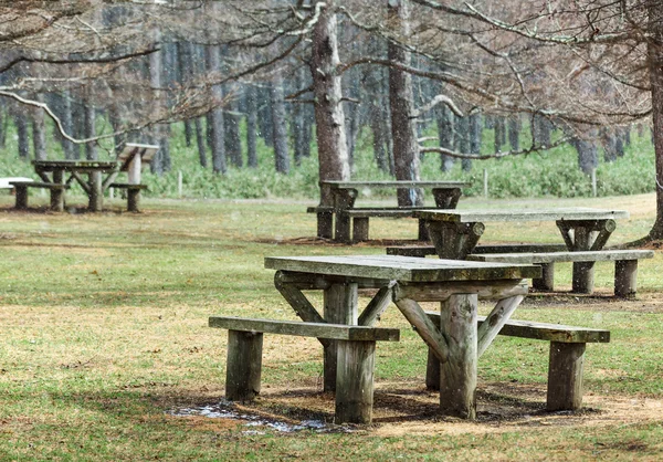 Picknickområde i skog — Stockfoto