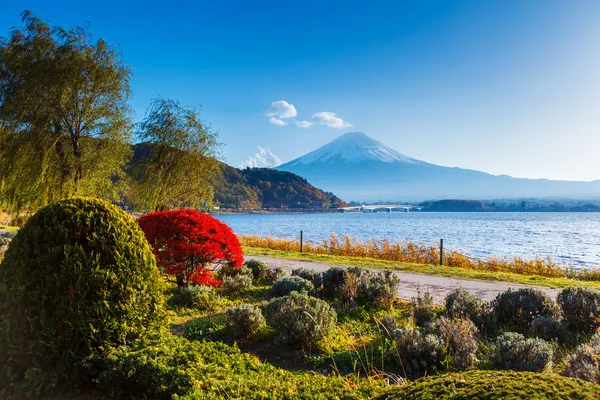 Mt. Fuji in autumn — Stock Photo, Image