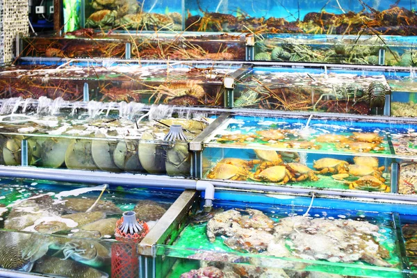 Fischmarkt Fischtank in Hongkong — Stockfoto