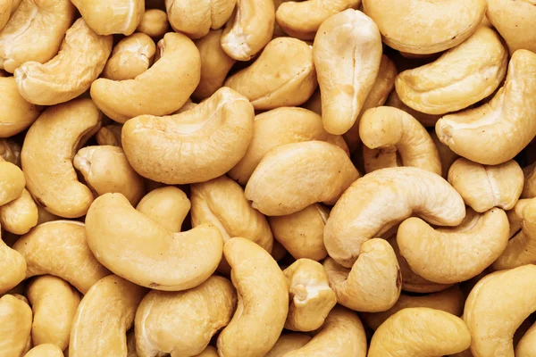 Frische Cashewnüsse — Stockfoto