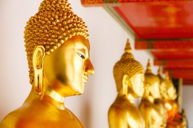 üst üste altın buddha