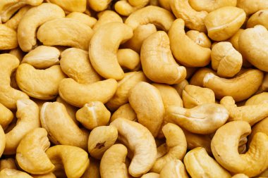 taze kaju fıstığı