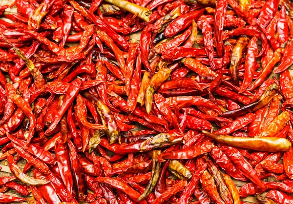 Červené chilli papričky — Stock fotografie