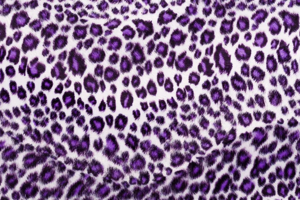 Léopard imprimé en violet — Photo