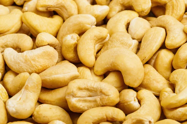 Fresh cashew nuts cloes up — Stock Photo, Image