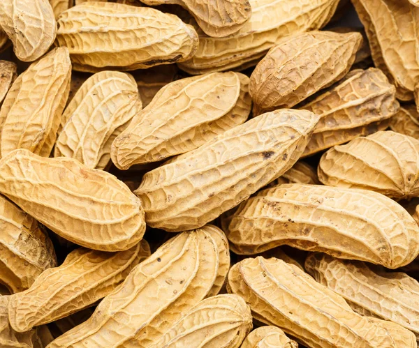 Peanut close up — Stock Photo, Image