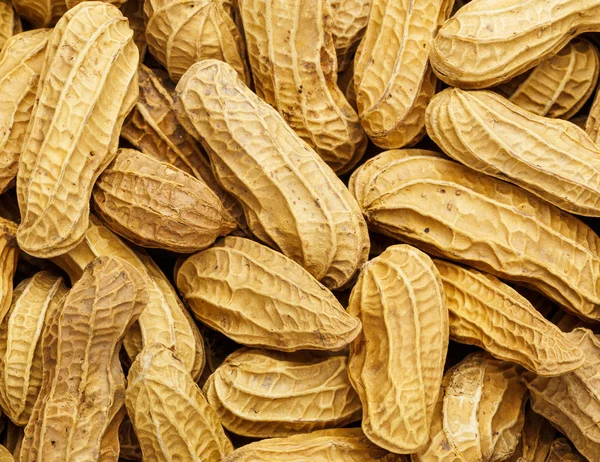 Peanut — Stock Photo, Image