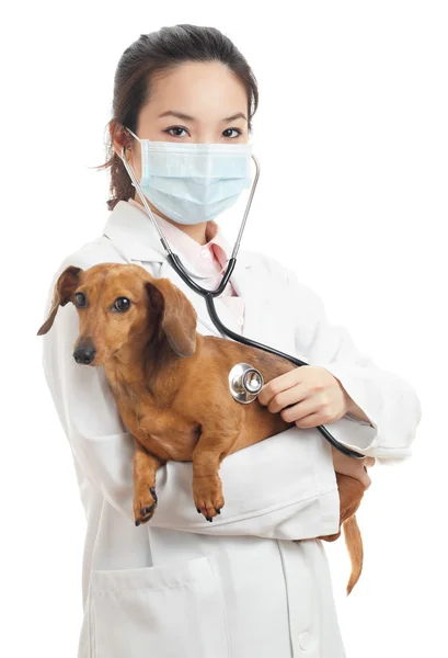 Ασιατικές γυναίκες κτηνίατρος — Φωτογραφία Αρχείου