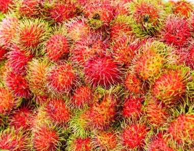 Kırmızı rambutan