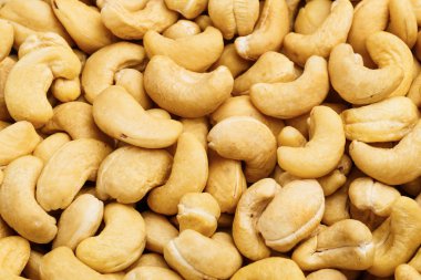 taze kaju fıstığı