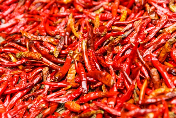 Červené chilli papričky — Stock fotografie