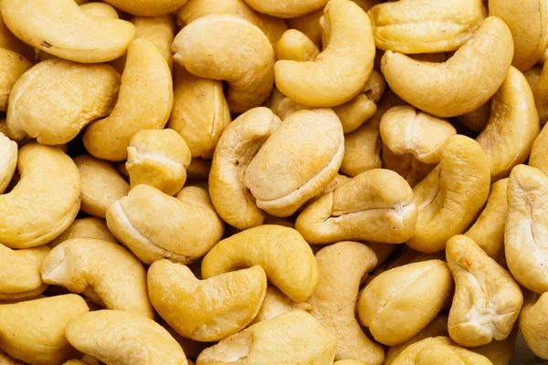 Свежие орехи кешью — стоковое фото