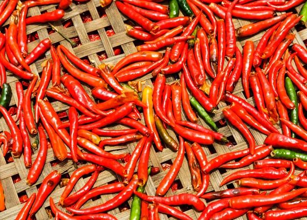 A kosár piros Chili paprika — Stock Fotó