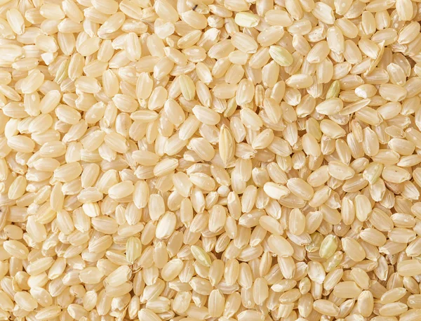 Коричневый рис — стоковое фото