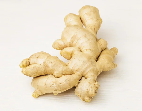 Ginger — Stock Photo, Image