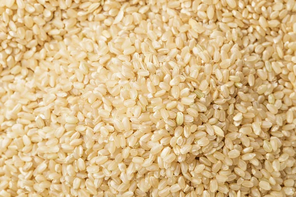 Brauner Reis — Stockfoto