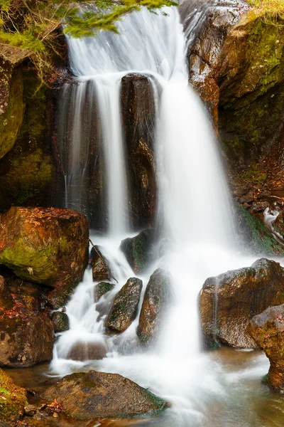 Cascada en el bosque — Foto de Stock