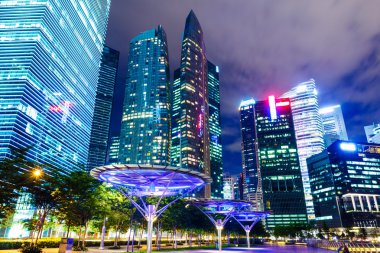 Singapur kurumsal yapı