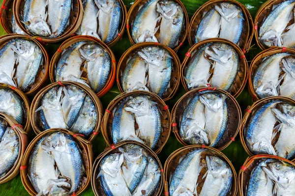 Ryby v sudech na prodej na trhu v Bangkoku — Stock fotografie