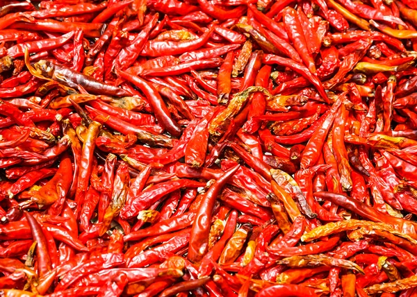Chiles rojos fondo — Foto de Stock